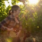 A woman stands in a sunlit vineyard, holding pruning shears while wearing a plaid shirt and jeans. Sunlight filters through the grapevines, casting a warm glow on the scene.